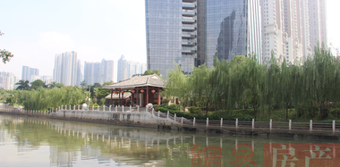 500亿河涌治理工程变“豆腐渣”？！