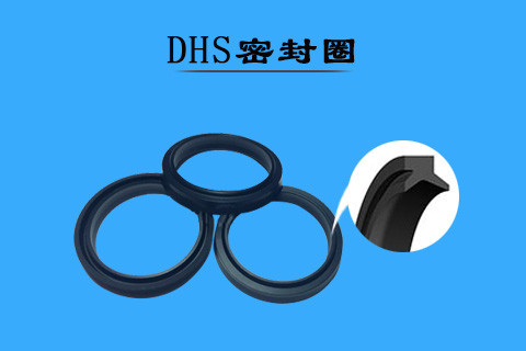 DHS密封圈