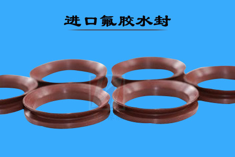 进口氟胶水封2