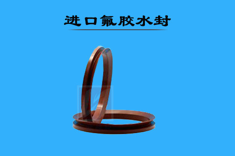 进口氟胶水封