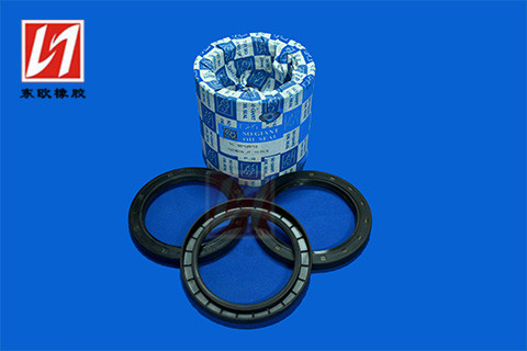 A3进口骨架油封