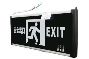  仁泰 消防应急标志灯 安全出口