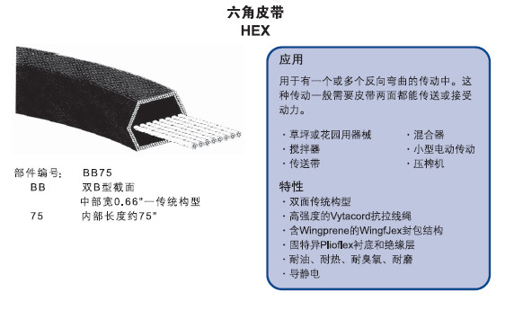 六角皮带