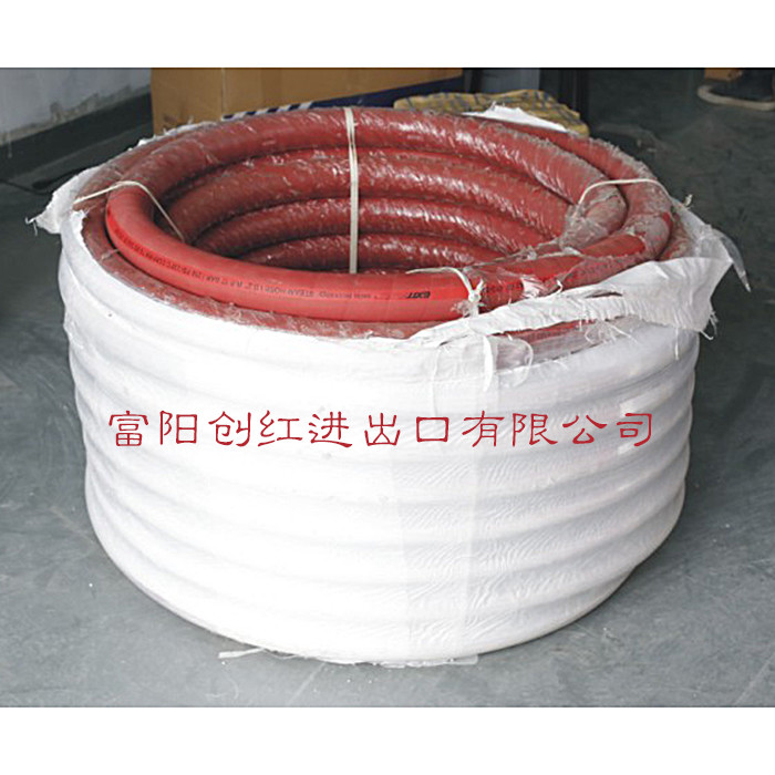 德国进口蒸汽管胶管