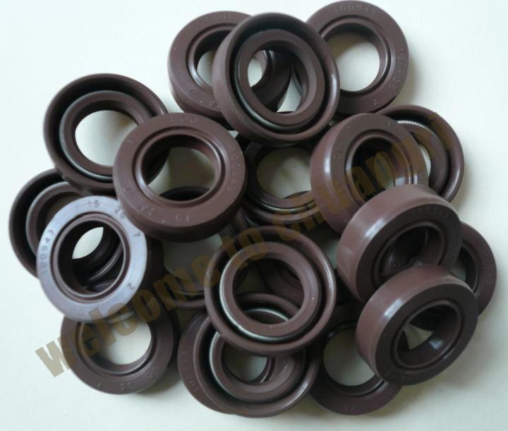 电动车专用油封