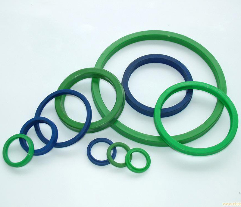 进口密封圈DHS