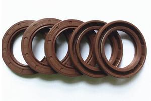 110*145/150/160/170*13/14/12氟胶骨架油封TC耐高温腐蚀油密封圈 