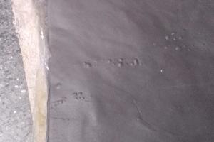 销售国产氟橡胶混炼胶/黑色和粉白色 硬度65~90不等 (2KG起订)