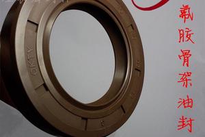 台湾原装进口YEI/OKTY骨架油封TC型TB型EC端盖FKM氟胶TCN高压油封 