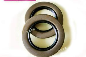 台湾进口SOG TB40*55/58/65*6/10/12 20*35外铁壳骨架油封 密封圈 