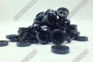 NQK正品 TC骨架油封 尺寸20*35*7 丁晴骨架油封 优质 耐油密封圈 