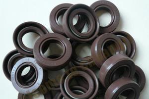 电机配件 电动车专用油封15*25*5 TC 骨架油封 