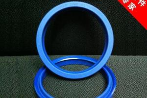 原装正品DZ UN油封PU聚氨酯油封 液压油封活塞油封 60*70*6 