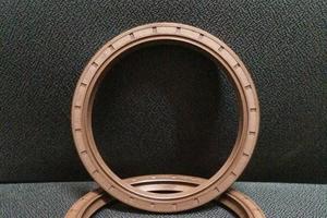 氟胶油封氟橡胶骨架油封 密封圈 耐高温 耐油 耐腐蚀 TC32*45*7