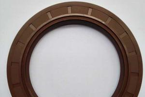 FKM FPM 氟胶骨架油封 190*220*15 190*220*18 190*230*15 