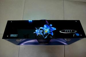 创峰爱妻号 超薄型 油烟机 排烟罩 吸油烟机 G1紫百合 纯铜电机 