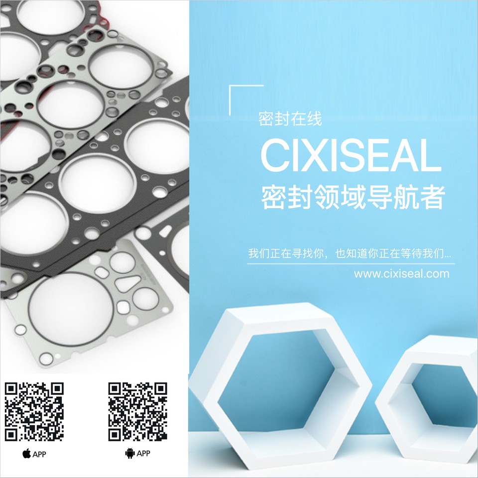 E8A53DD93E06B67568F1CAE2971FDC80