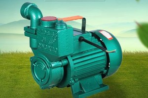 青霄家用自吸泵220V高扬程抽水机 水塔供水增压离心泵抽水泵包邮